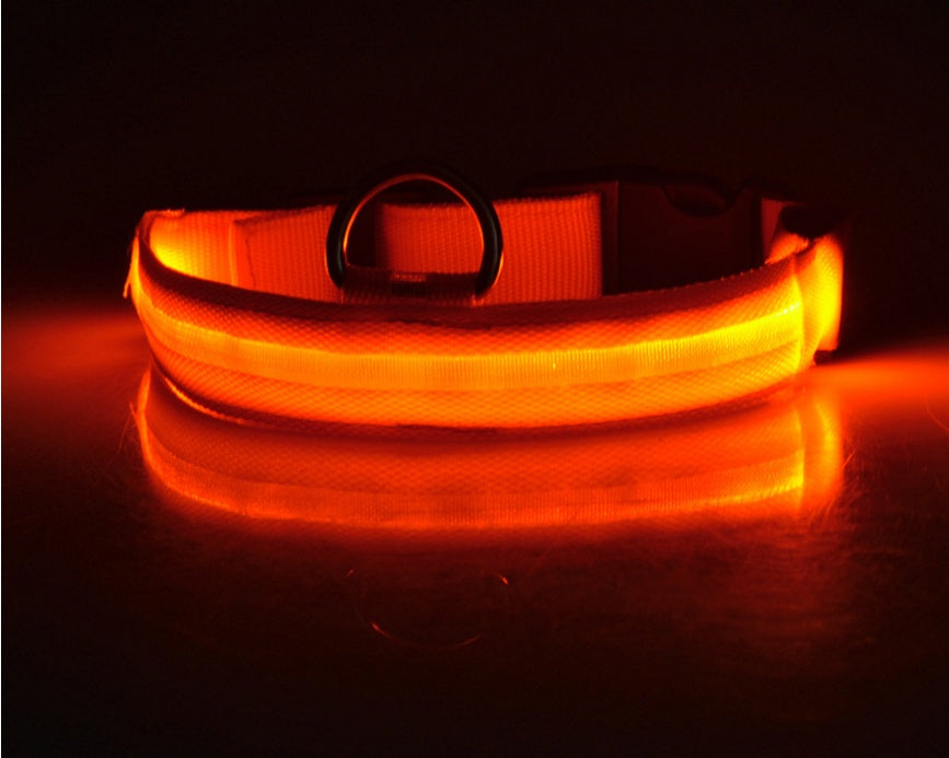 GlowPaw Safety Collar – Nighttime Peace of Mind