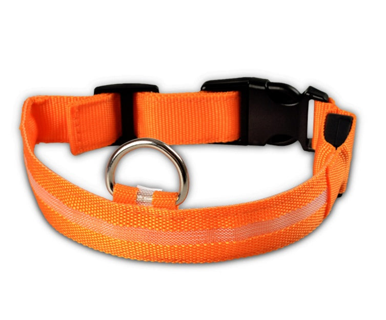 GlowPaw Safety Collar – Nighttime Peace of Mind