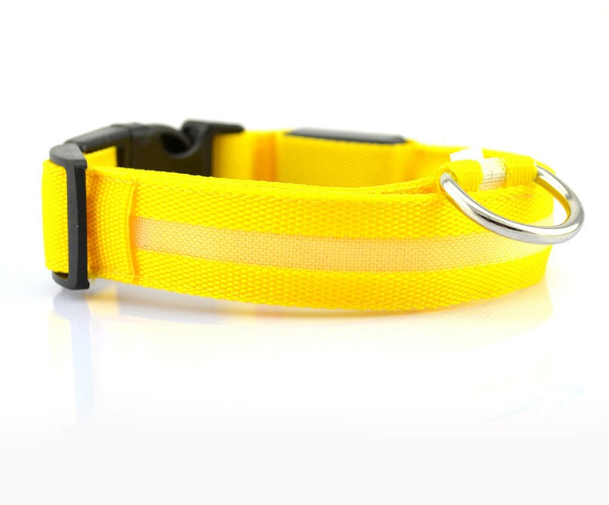 GlowPaw Safety Collar – Nighttime Peace of Mind