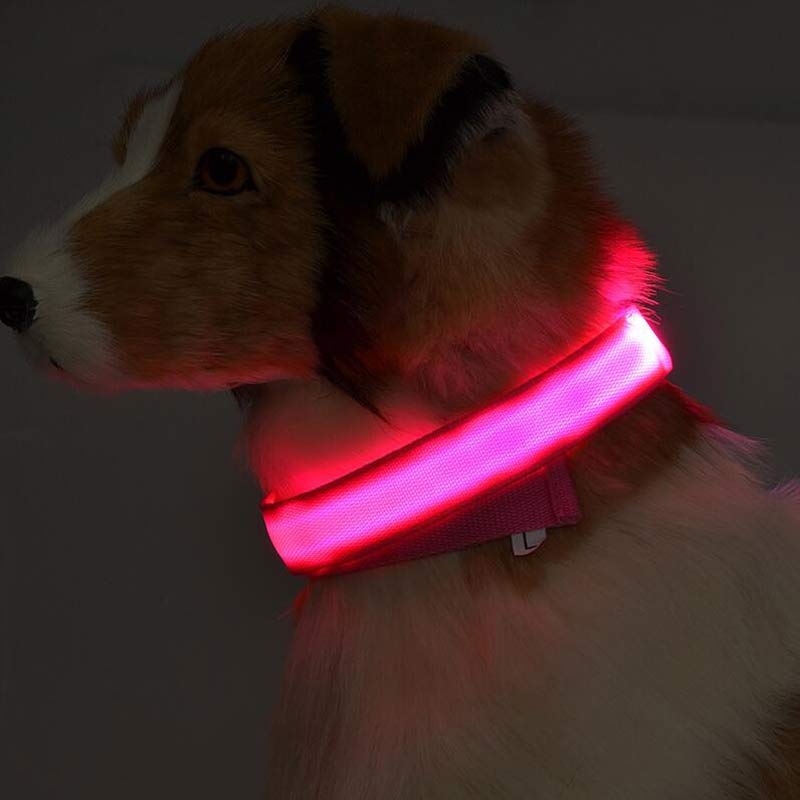 GlowPaw Safety Collar – Nighttime Peace of Mind