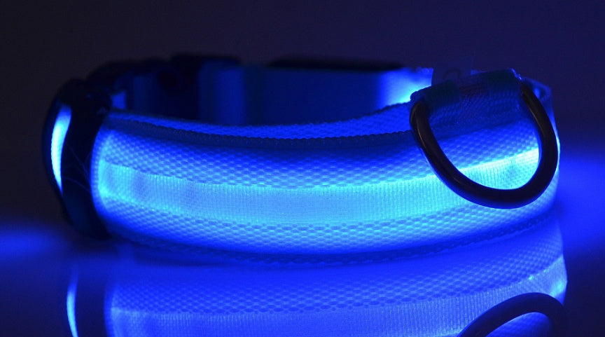 GlowPaw Safety Collar – Nighttime Peace of Mind
