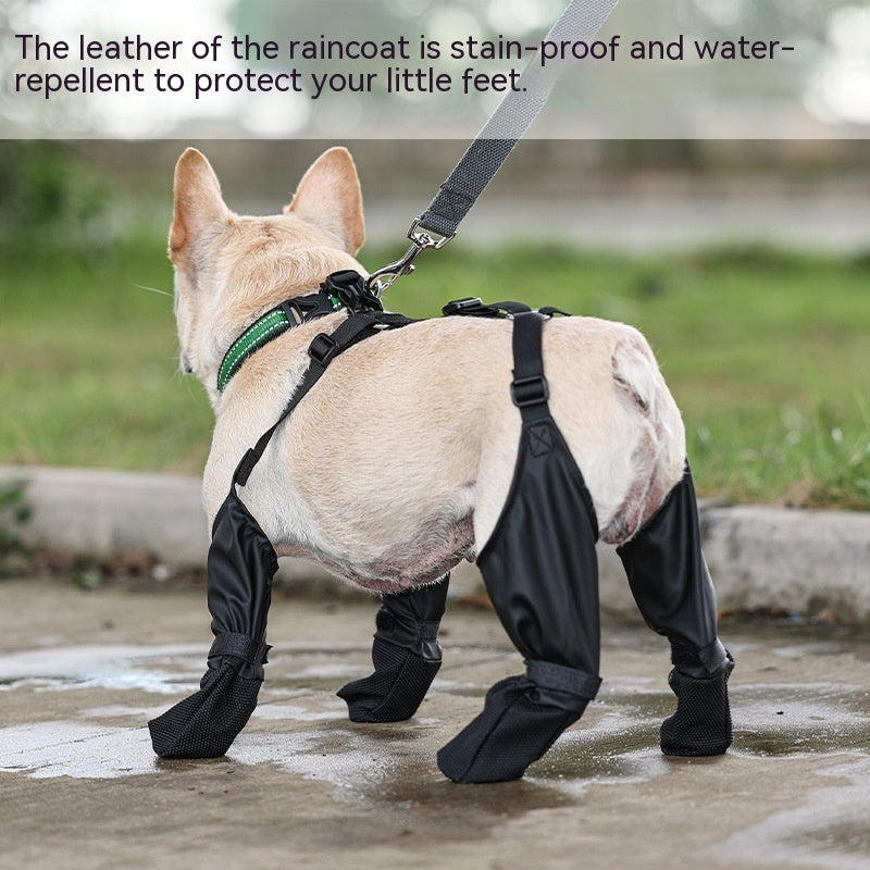Waterproof Dog Boots – Protect Paws, Enjoy Every Walk