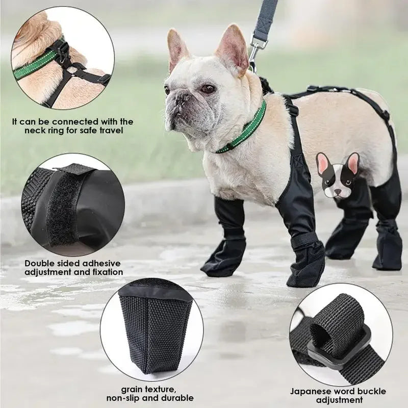 Waterproof Dog Boots – Protect Paws, Enjoy Every Walk